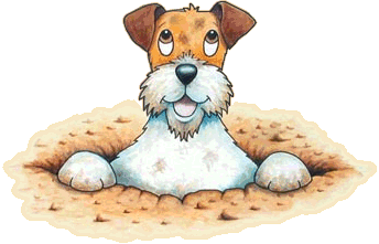 animaux (27).gif